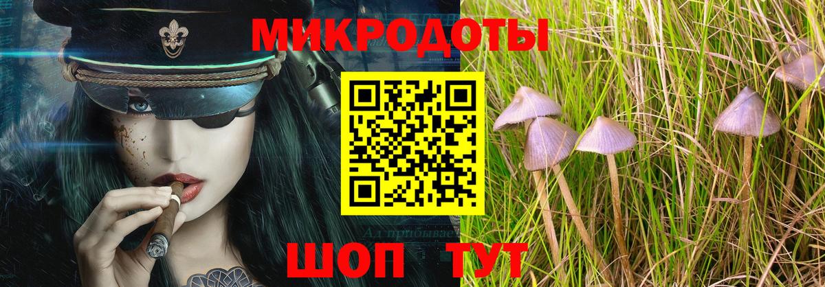Галлюциногенные грибы MAGIC MUSHROOMS  Вход с VPN  где можно купить наркотик  Минеральные Воды 