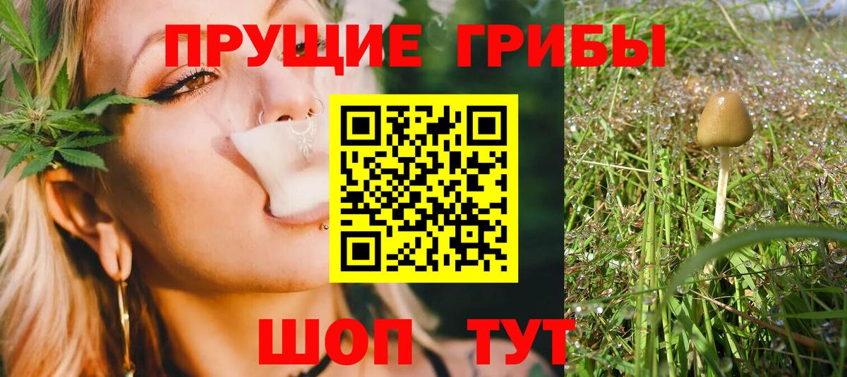 Псилоцибиновые грибы Magic Shrooms Минеральные Воды
